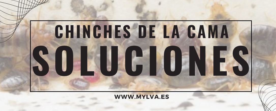 Odoo • Una imagen con una leyenda