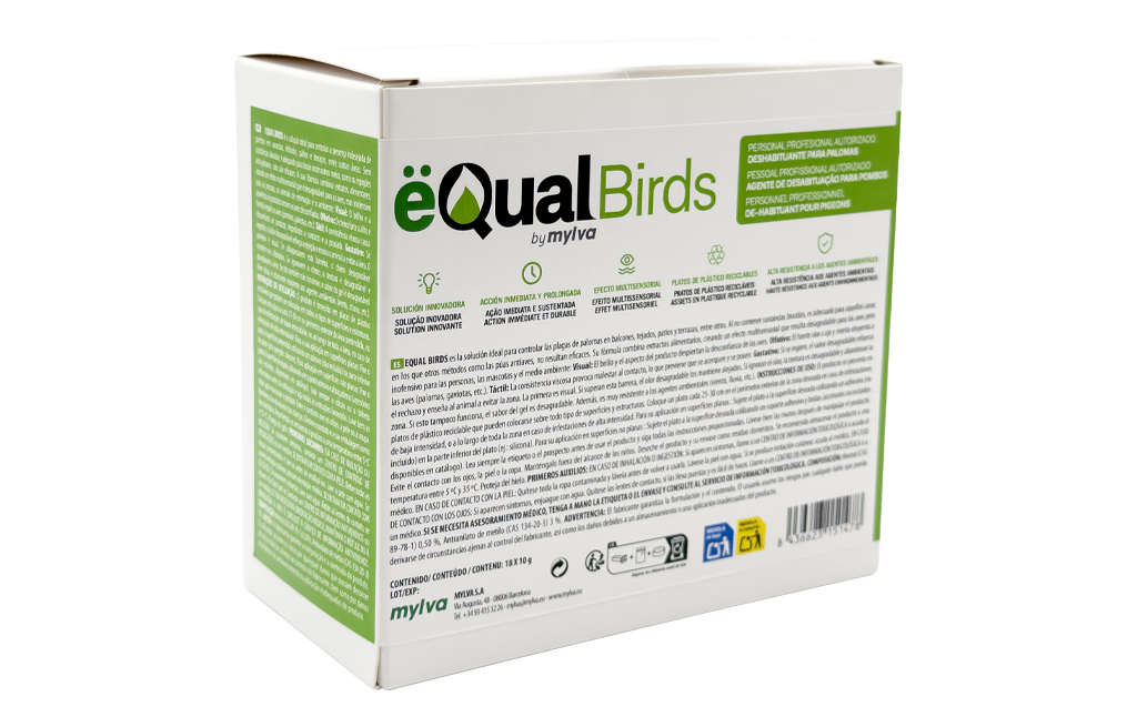 EQUAL BIRDS CAJA