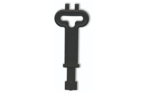 [3276] CLÉ POUR POSTE APPÂTAGE RATS ET SOURIS