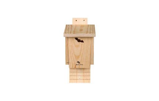 [3321] NIDO MURCIÉLAGOS